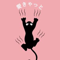 愛きゃっと