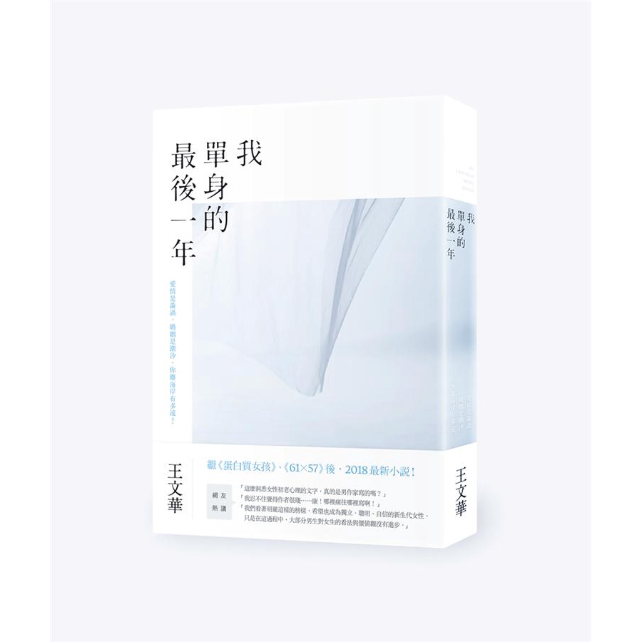 《我單身的最後一年》是王文華十年來第一本小說。王文華以《蛋白質女孩》、《61 x 57》、《倒數第二個女朋友》等小說成名。但近十年來，他的創作主題偏向企管和自傳，這是他久違了的文學作品。這是一個關於單