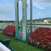 🐴競馬超初心者の会🐴