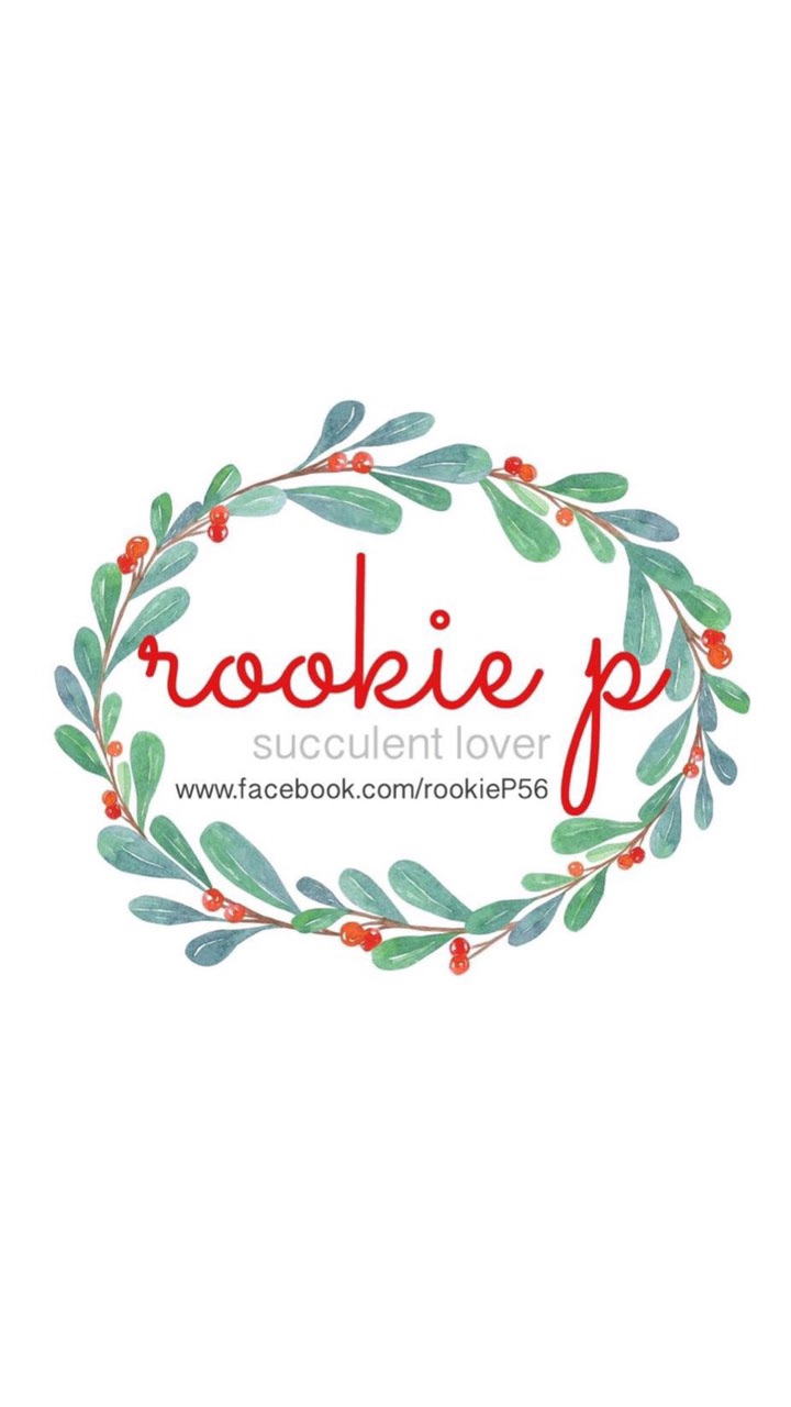RookieP Succulent คนรักไม้อวบน้ำ 🧡
