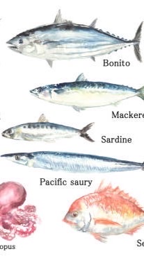 《福岡·佐賀·長崎》釣り好きな人集合‪🎣‬