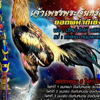 FC... เจ้าเพชรพระจันทร์ฉาย