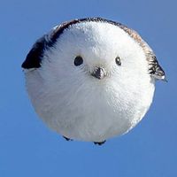 エンジョイライフセミナー