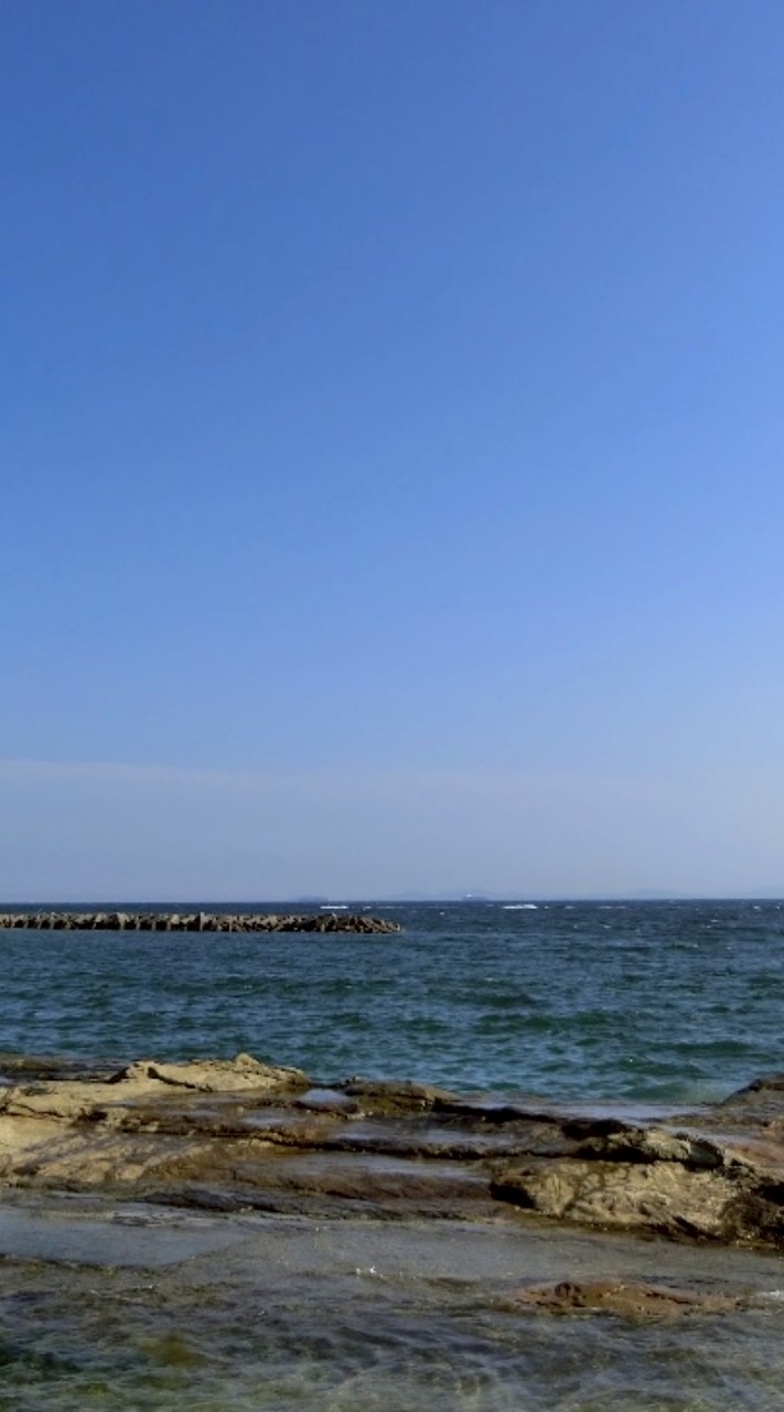 移民政策反対の会