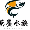 莫墨水族館觀賞魚競標社團