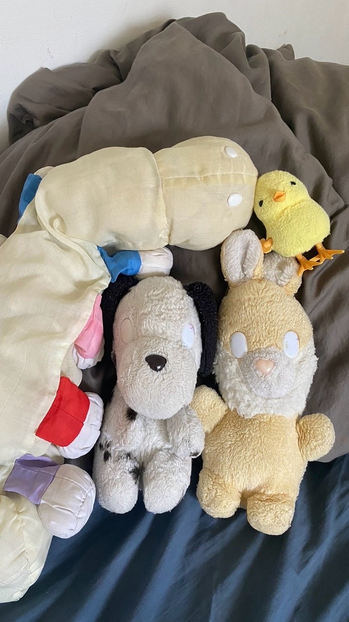 百寶箱