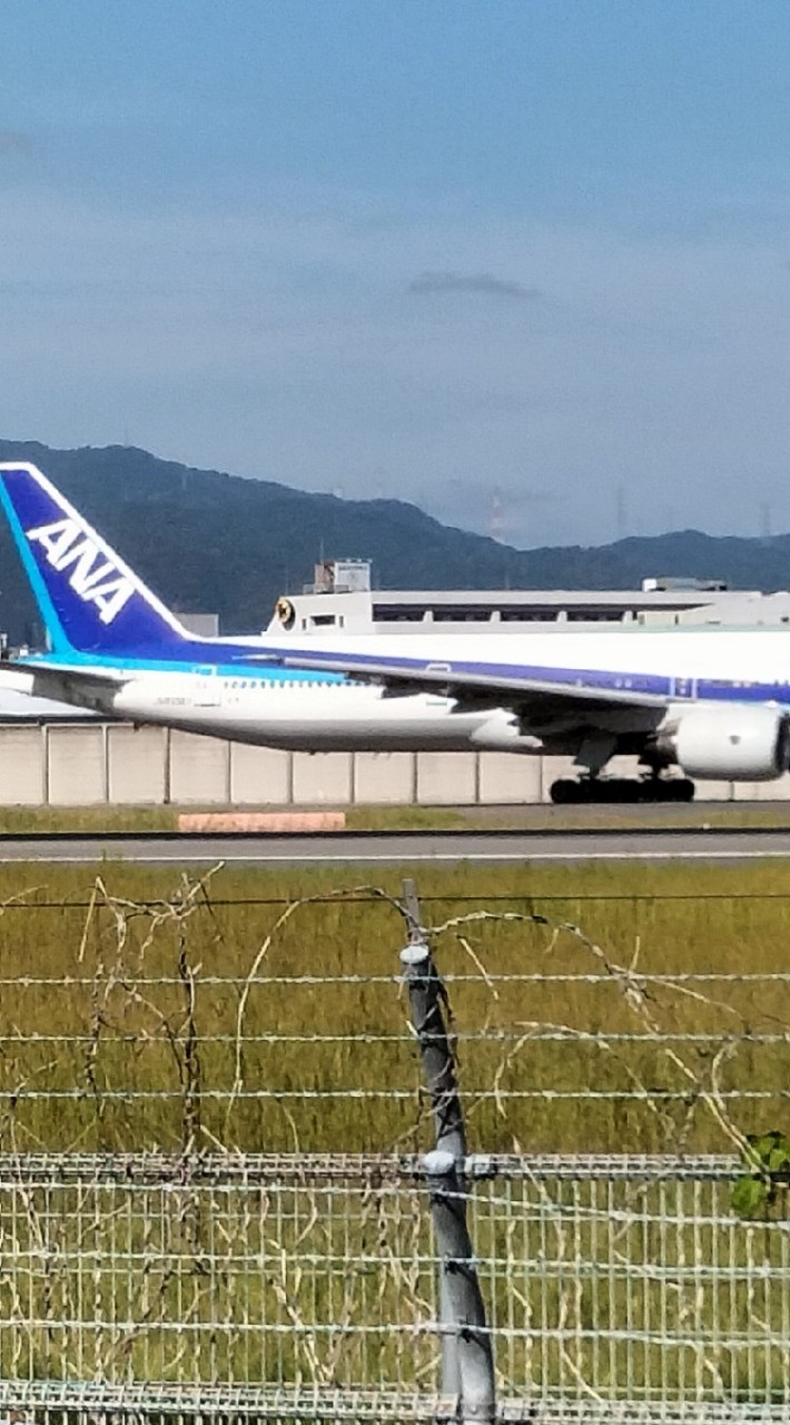 飛行機大好きオタク