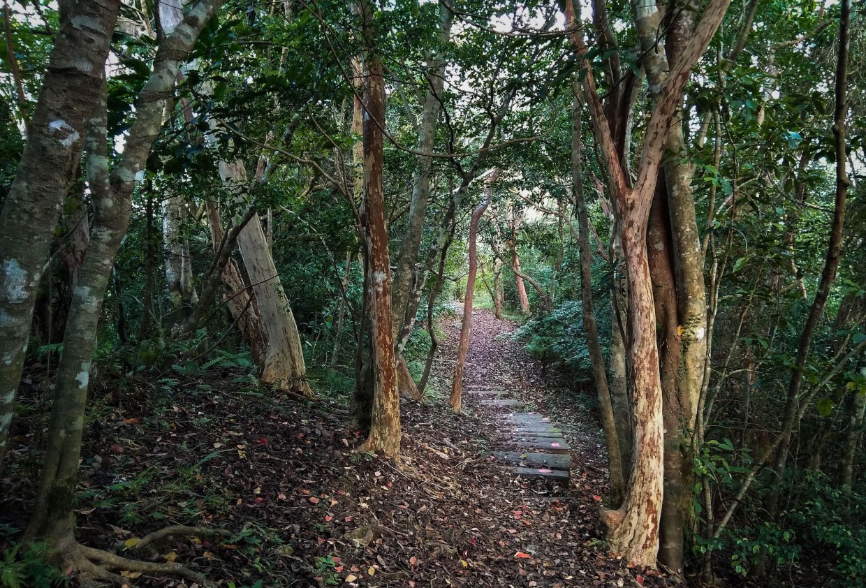 花蓮玩樂攻略｜沒玩過這些等於沒到過花蓮 上山下海體驗超Fun行程