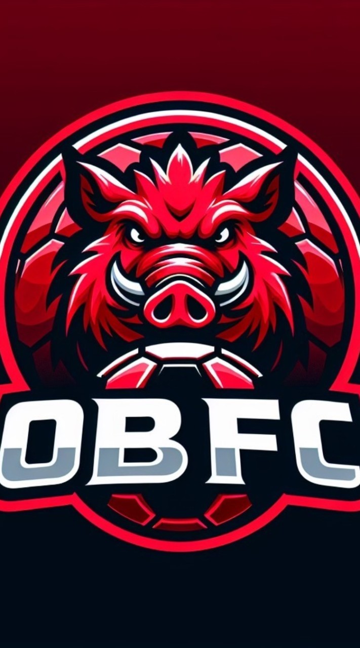 114年世壯運OBFC