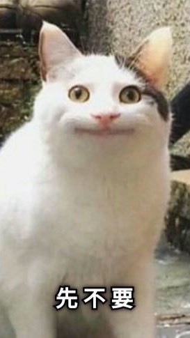 夢女群💗