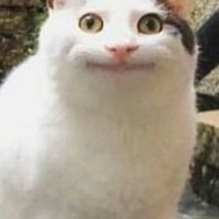 夢女群💗