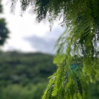 大阪快閃代購9/10-9/13