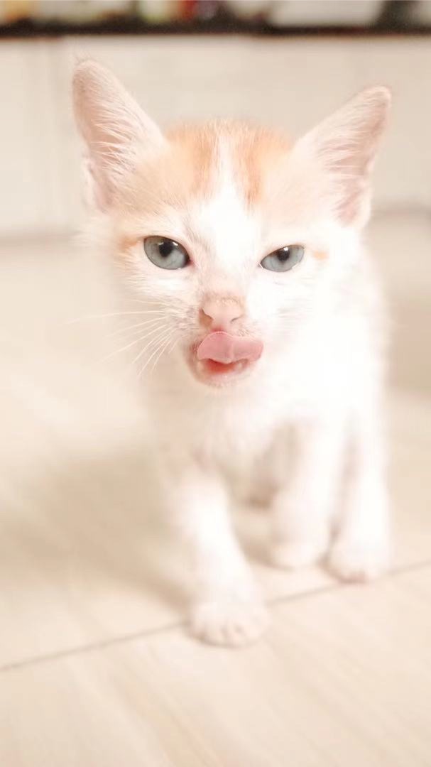 利馬懂玩天堂2M群組