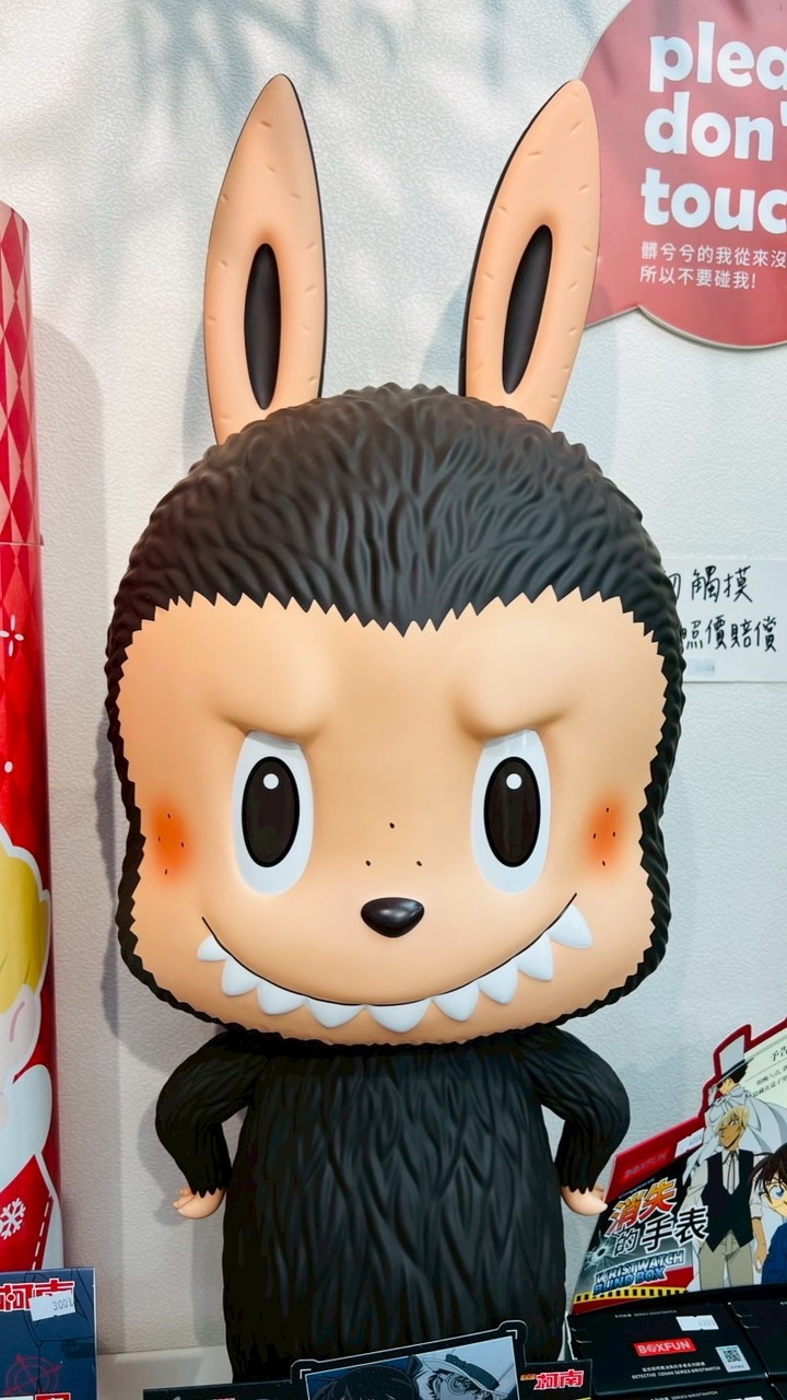 幼稚園寶寶