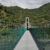 同理心全國看護