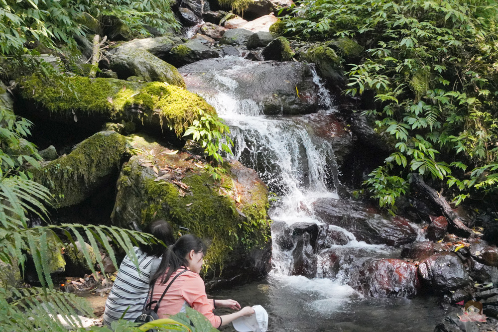 宜蘭.礁溪 臺灣的抹茶冰淇淋山，網美級小百岳仙境，挑戰聖母山莊步道，順收五峰旗瀑布