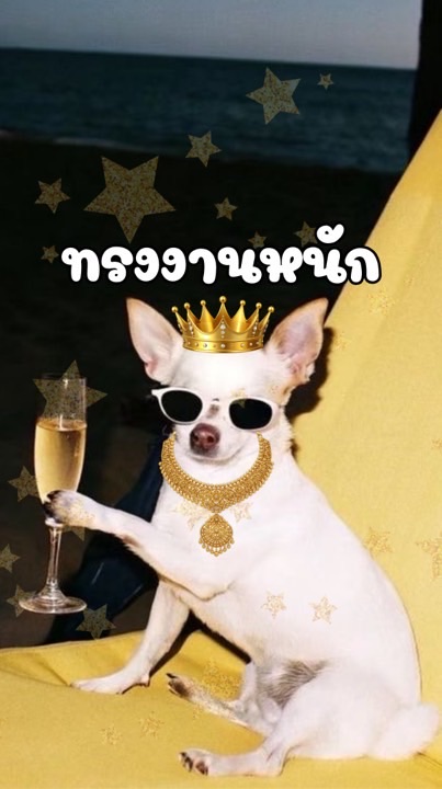 รับหิ้วหอใน3-4ค่ะแม่ #ยาใจคนจน