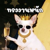 รับหิ้วหอใน3-4ค่ะแม่ #ยาใจคนจน