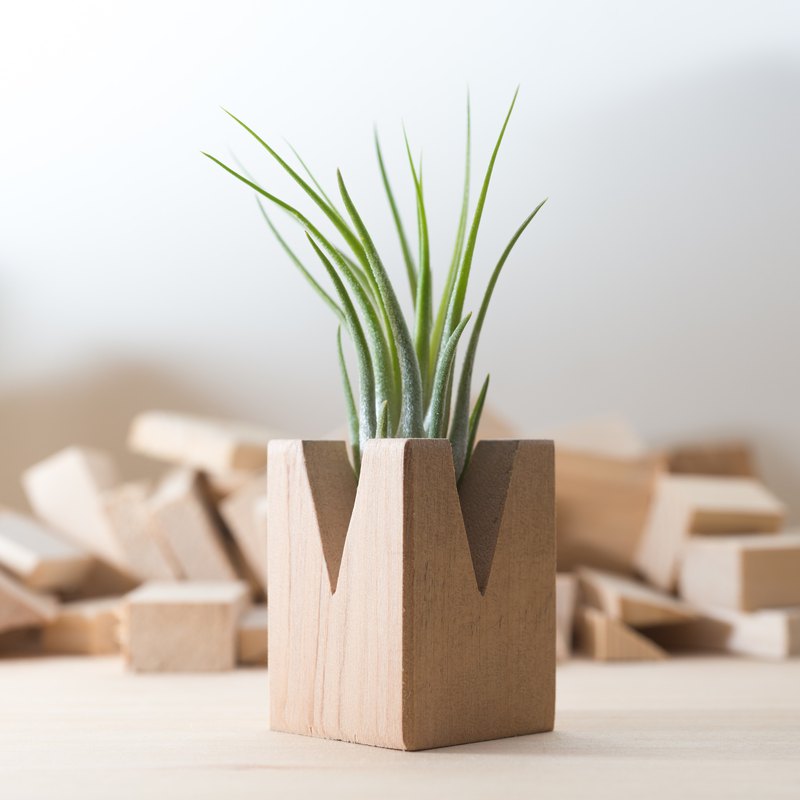 積木空鳳第二彈 - 豬腳鳳梨