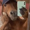 クマちゃんだよ‼️全緩〜✨