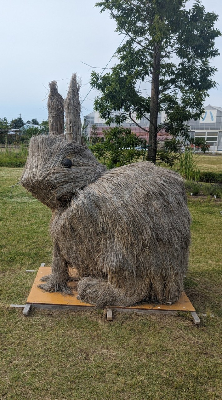 孤高の猛者ちゃん