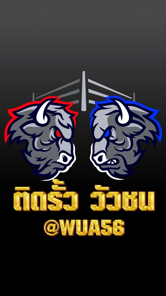 ติดรั้ว วัวชน