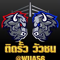 ติดรั้ว วัวชน