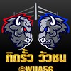 ติดรั้ว วัวชน