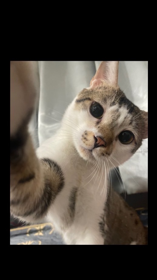 三重