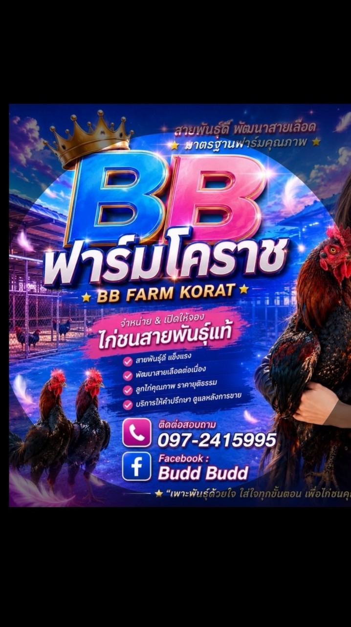 BBฟาร์มโคราช แบ่งปันไก่ทุกซุ้ม