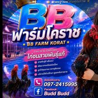 BBฟาร์มโคราช แบ่งปันไก่ทุกซุ้ม