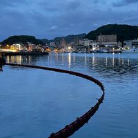 廈門旅遊5/15-5/20