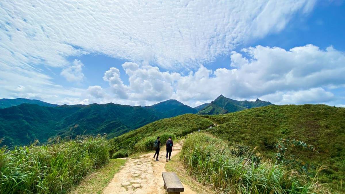 最快５分鐘輕鬆攻頂！新北９條懶人步道：台版「奧入瀨溪流」、絕美陰陽海
