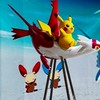 福岡　ポケカ情報　入荷・売り切れ