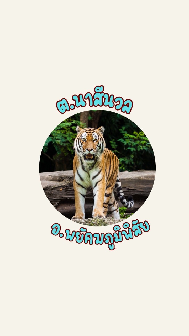 ต.นาสีนวล อ.พยัคฆ์