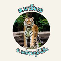 ต.นาสีนวล อ.พยัคฆ์