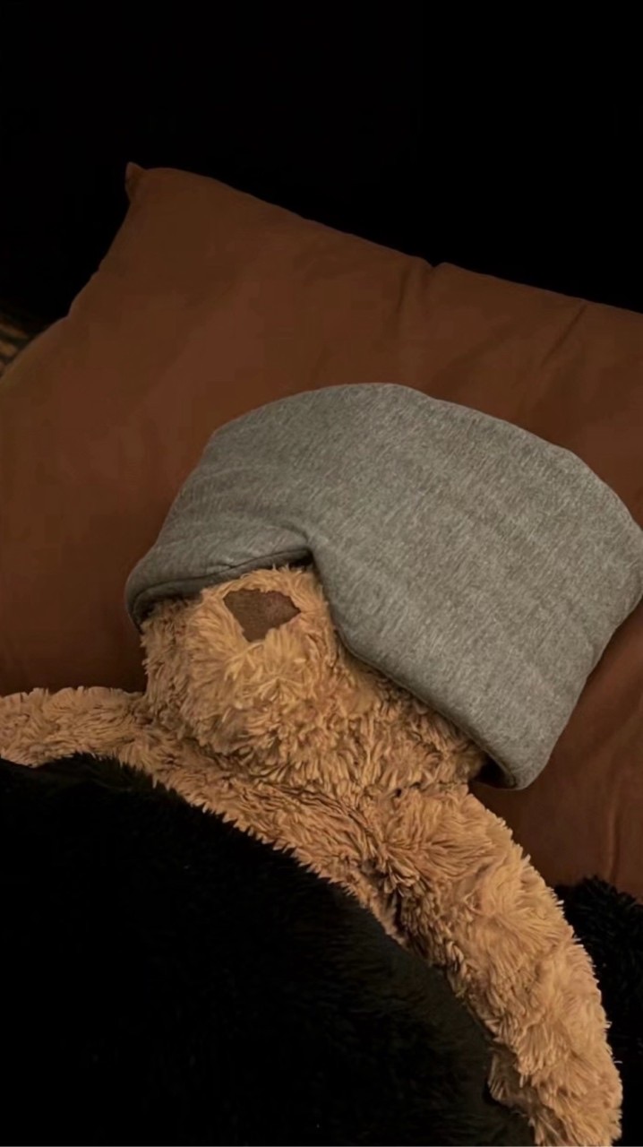 一隻熊寶寶⋆꙳ₓ  ༘ 🐻ᯓ⋆.* ᝰ