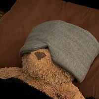 一隻熊寶寶⋆꙳ₓ  ༘ 🐻ᯓ⋆.* ᝰ