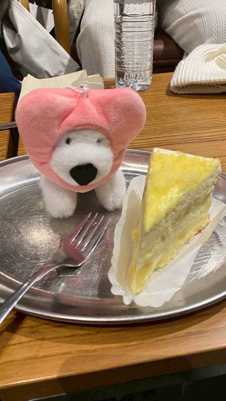 ⭐️ /追星/傾訴/作業問題/⭐️