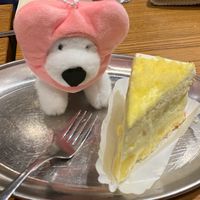 ⭐️ /追星/傾訴/作業問題/⭐️