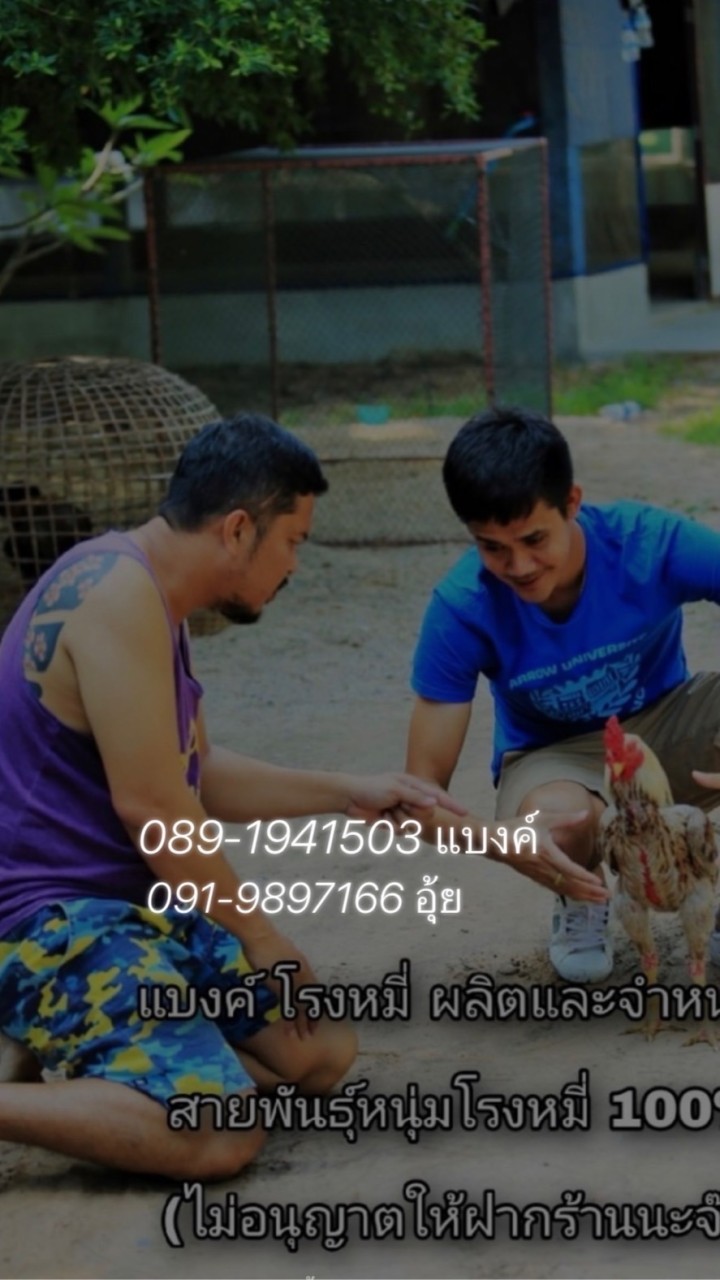 ผู้ใหญ่แบงค์ หนุ่มโรงหมี่