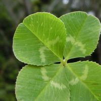 R50～交換日記🍀