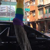 🌈爱之界🏳️‍🌈