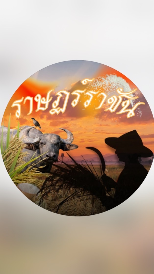 สแตนสีแสด🧡