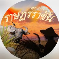 สแตนสีแสด🧡