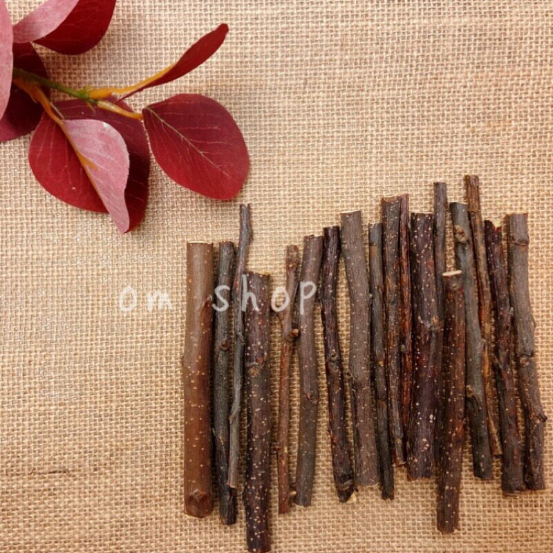 現貨/天然磨牙蘋果樹枝 兔子天竺鼠松鼠倉鼠