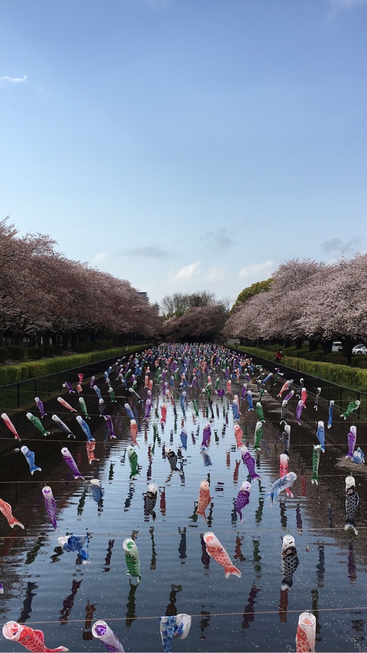 Extranjeros en Japón. 日本に住んでいる外国人。