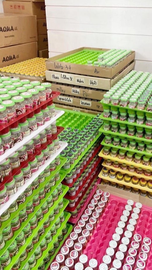 คอนแทคเลนส์60บาท
