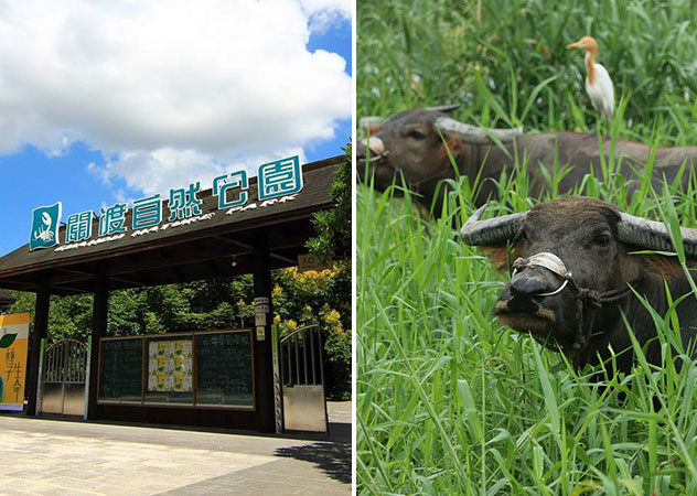 關渡自然公園