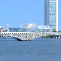 新潟市 軟式野球地区連盟
